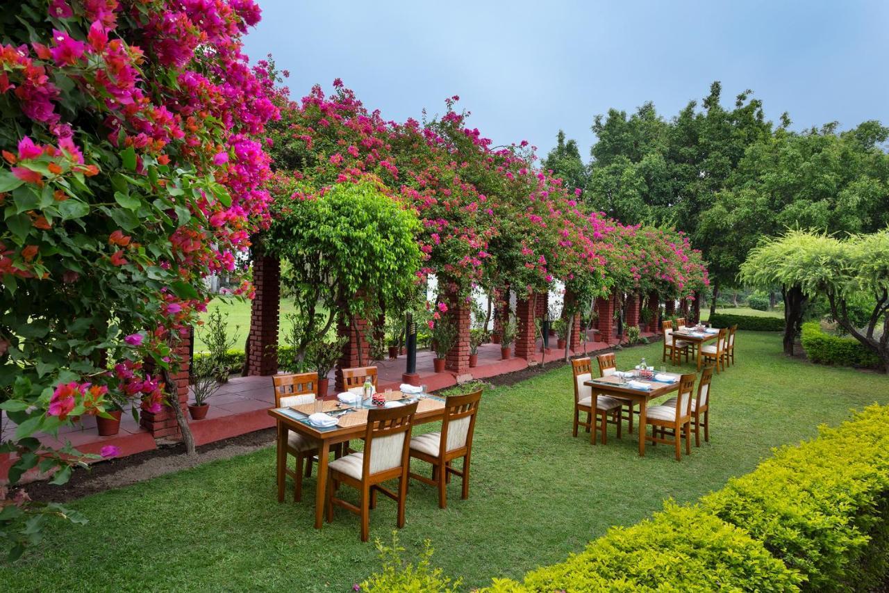 Naturoville Wellness Resort Rishikesh - Surrounded By Nature, Rooted In Wellness Doiwāla 外观 照片
